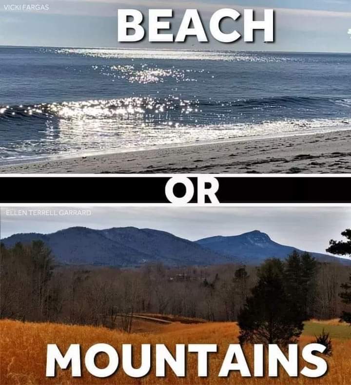 Beach or mountains